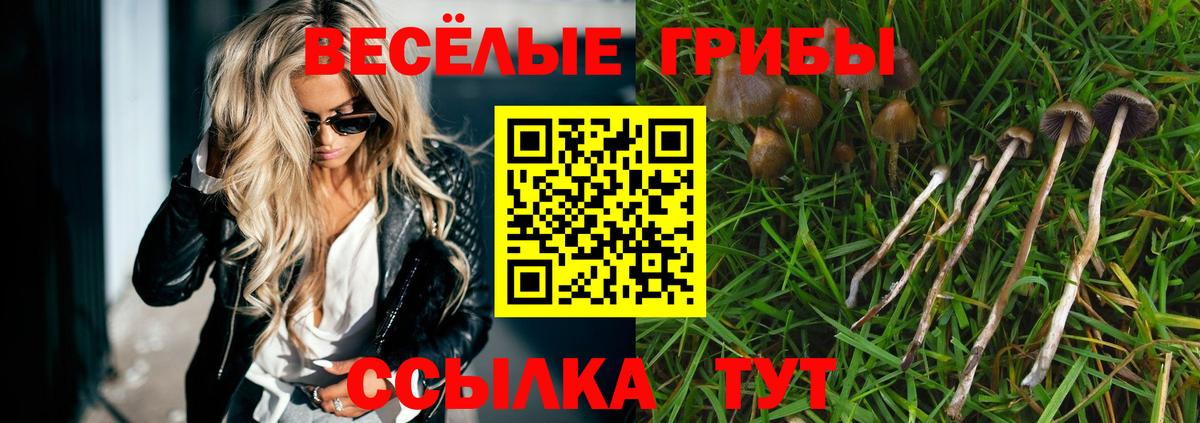 Галлюциногенные грибы ЛСД  цены   Избербаш  Вход с VPN 
